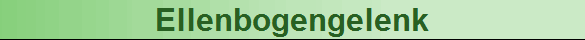 Ellenbogengelenk
